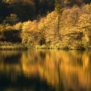_dsc2583.jpeg