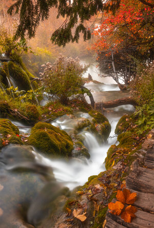 b97f1ae6698556c6bd945806ac1b1d748483bfbb