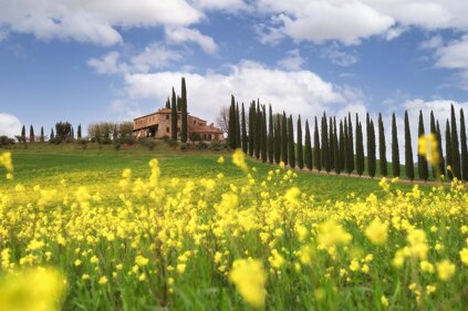 ecdb987cf1fd92c7364a8ad7f8af1e4d254070e8