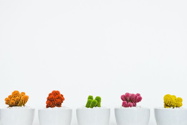 scott-webb-gqd3av_9a88-unsplash (1).jpeg