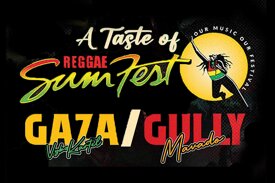 tastesumfest.jpeg