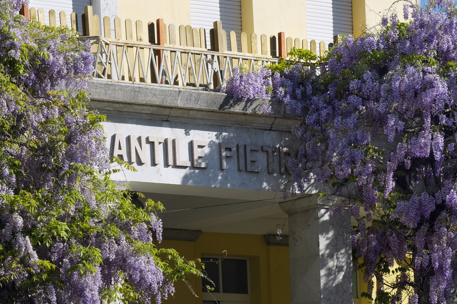 Avvisi per rinnovo graduatorie