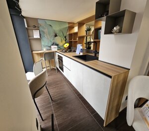 20260305_113709.jpeg 20260305_113709.jpeg