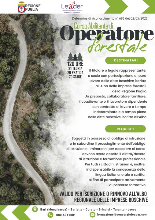 immagine whatsapp 2025-11-21 ore 13.14.01_9d317e91.jpeg