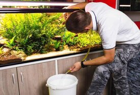 b3ff11eb3e03a3ddadd22cdb6e875ccb7f1a9263 b3ff11eb3e03a3ddadd22cdb6e875ccb7f1a9263