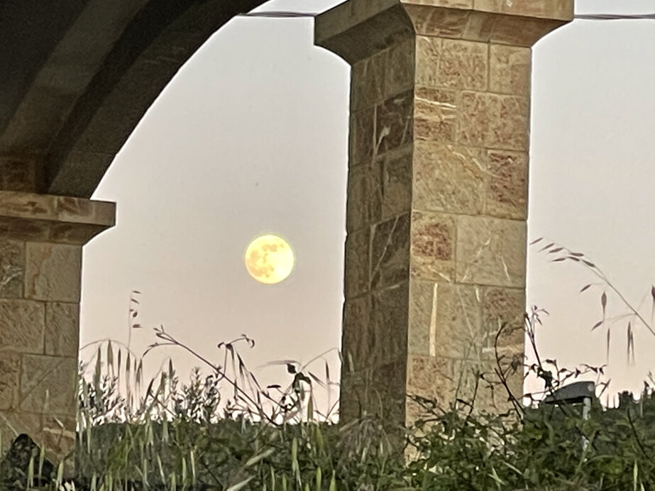 colonne pietra gialla subbiate a mano.jpeg