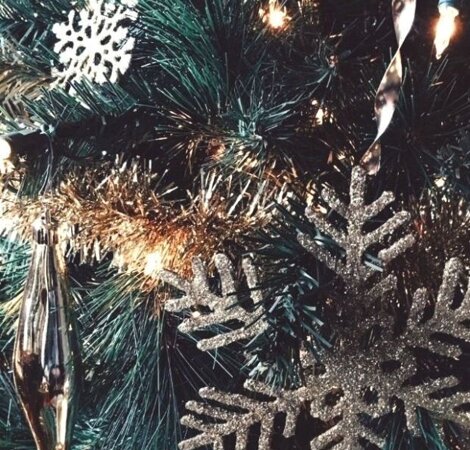 img_7223.jpeg img_7223.jpeg