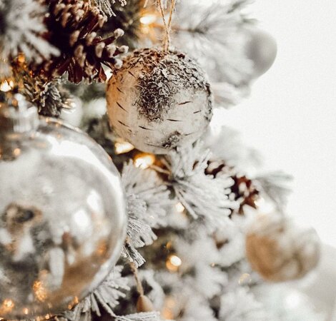 img_7224.jpeg img_7224.jpeg