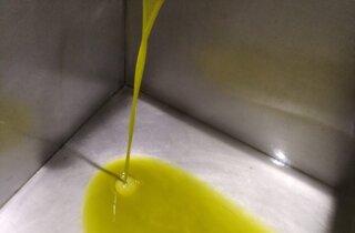 074e65250551b102dadc84910ab2beed6aa5f78e