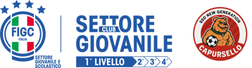 figc-sgs-clubgiovanili-livello1-logo-rgb-pos