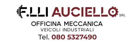 fratelli auciello banner 3x1mt.jpeg fratelli auciello banner 3x1mt.jpeg