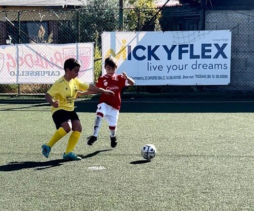 1704_40c278302b712ae5ad24501bd2f9576dd0a11f29