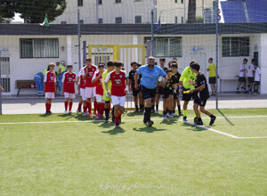 toreno%20vasto%2026-061-2.jpeg