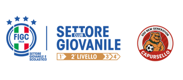 logo figc 2 livello + capursello
