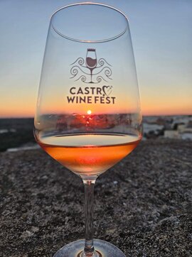 Castro Wine Fest - Prenota il B&B La Mimosa