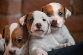 14b0d5a63f3b5ae3b6a47e5f1d4dbbb00f2d1881