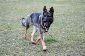 18ff8be4e3e34b3dfc26f8b8830df5f28a1fa70b