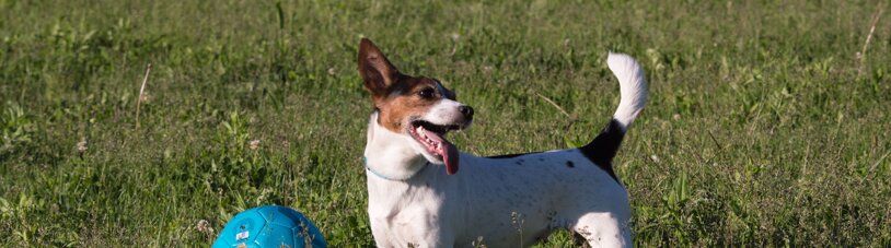 1e4ffe3ad4e7d2deb340e6d8507fa4f016372211