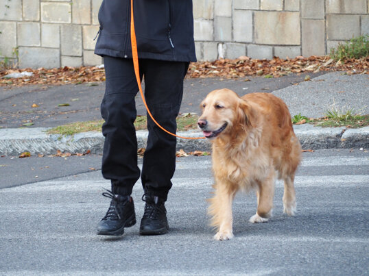 24c3b728fe5f4fedd79580c6cac8ad53c9b27e21