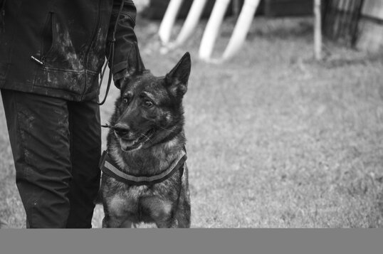 264a8eaa060cd5bc2bf8a82bbebbcc049e5ce82e