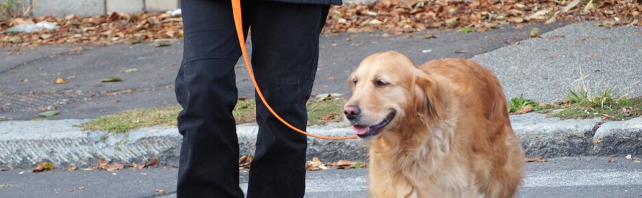 2a7d2df20c4901ffc192017386ee8c1317d90d28