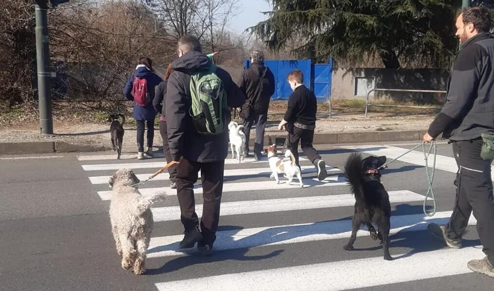 39c4e8a8240fc0b300e2ac18bf65b70d174f43c8 39c4e8a8240fc0b300e2ac18bf65b70d174f43c8