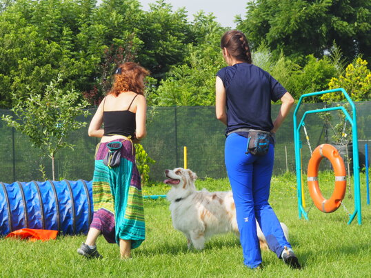 4c735a18426443d3eaaf1d2c72412e56ca7014f5