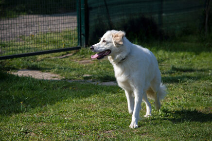 5474180a5790717a559605df17b06cb303c395bb