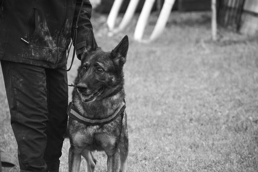 5a35bed1a628977cbc6e680144da2b4c5d60bd24 5a35bed1a628977cbc6e680144da2b4c5d60bd24