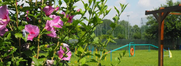 5b22b8261d8052eb4d912a9c58da6b5fb65d248f