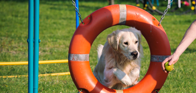 693af578bd90219f5c9050f2fdc1299825a4c501