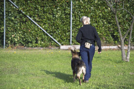 794f9b0831d31d7b5df7bf7806a51ab222a6f675