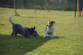 7e493e85575a66537e239d437681cb3112054b21