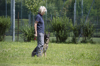 7e8cf65f841100f90ae2ddc7fab1be3de4f8b44d