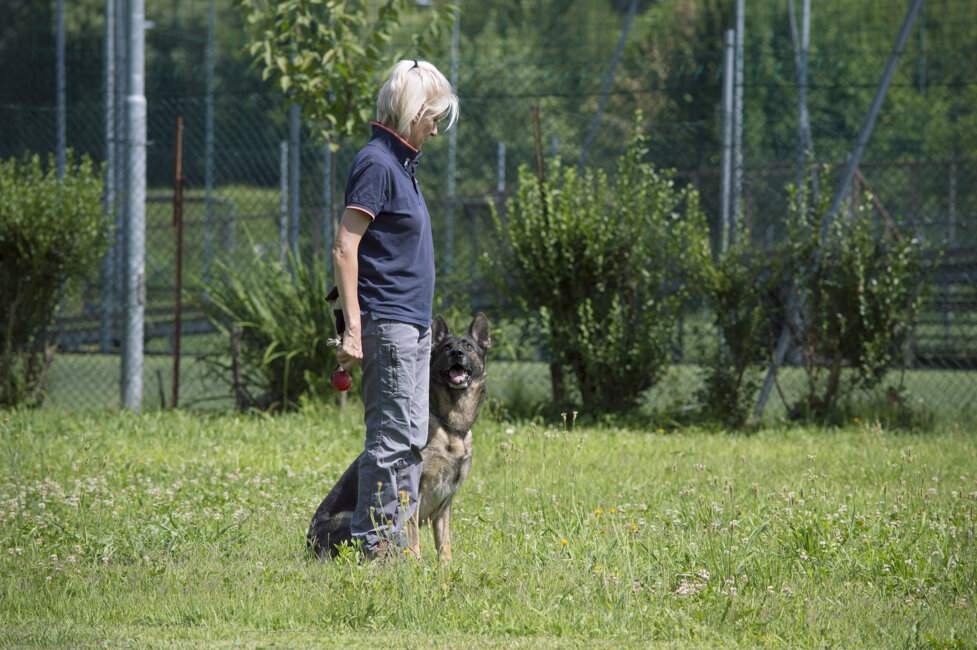 7e8cf65f841100f90ae2ddc7fab1be3de4f8b44d