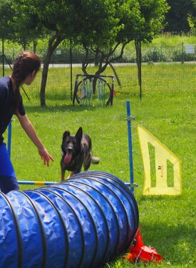 957031e2d8e9335a8370909803bdbb1a575db95c