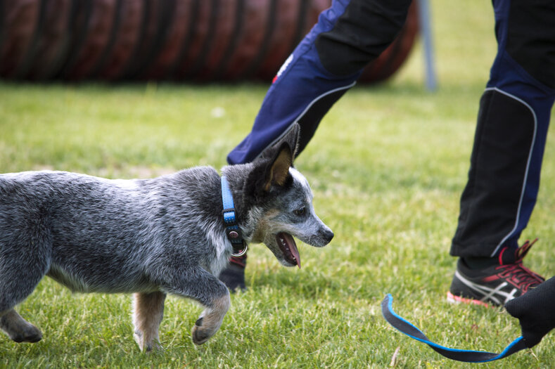 9a178fe3aa5753fc65134ca89c1b8c4e1f1c49a2