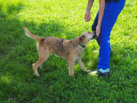 9bba16b87c6a3228b278f783eeda63e018990077