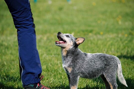 a71eb091bb039e0994e7904a2f714a37485bc95c