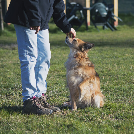 aa7bd2edeb27ff0862087efea8469f4455606026