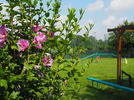 c5180738fe6e2127bece7fd35f9845e1fb579f13