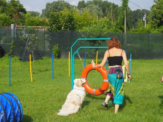 d86092262719888bd82f69124273d4d19352dae3