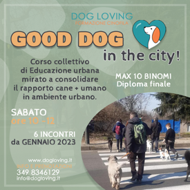 d9823c2b30acc87e01d2559012a40e59cd8a59c5