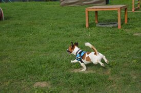 dbb1f779024e5430c40d178dc5efe955d42d40b9