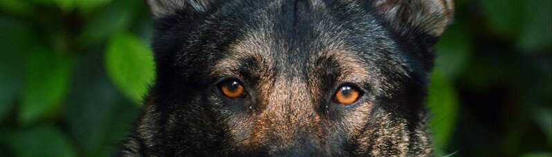 dbf0dc62929b0deaed38e33c668a73e3bdc165fc