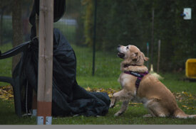 e02aade3572bef9038d6e351bcf7604acb90a647