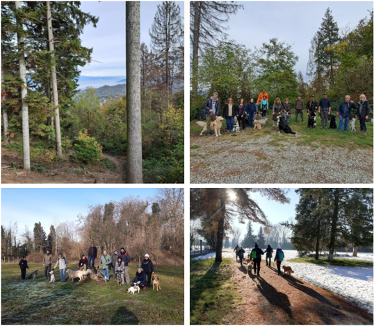 e26ad92fefb2c698c59ef6b28245f73caca1c80d