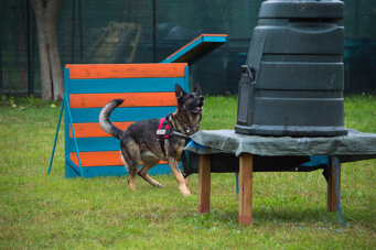 f02a9d90dad646f5d8f739aa505f3bb053e1f57b