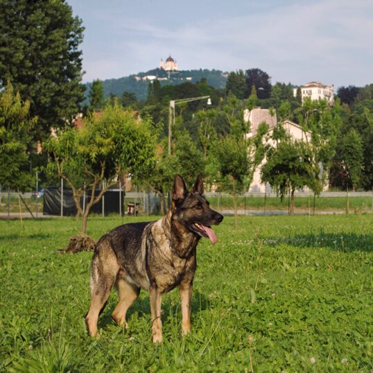 f0a33e92323a52fcfa52c9102520e5866b561eca f0a33e92323a52fcfa52c9102520e5866b561eca