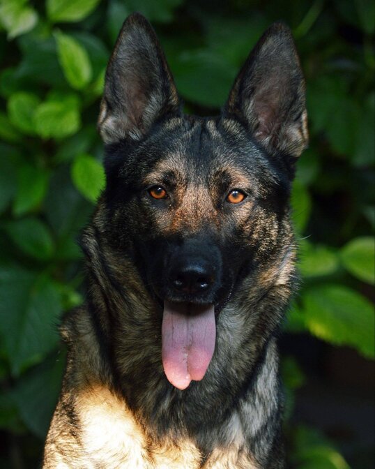 fb300ab12eaf725d6c157506ccc96deed112bad9